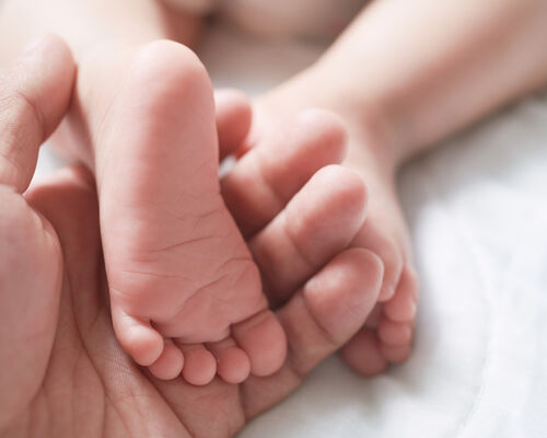 iStock-1248247527